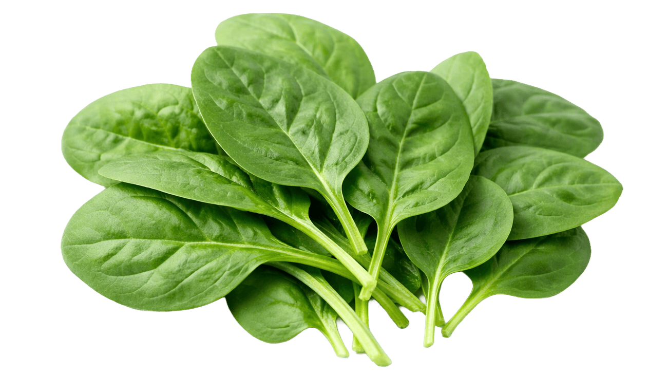 Spinach